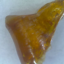 ducth treat 6 star shatter